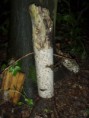 /album/zabavne-odpoledne-pro-dospele/p6110162-jpg/
